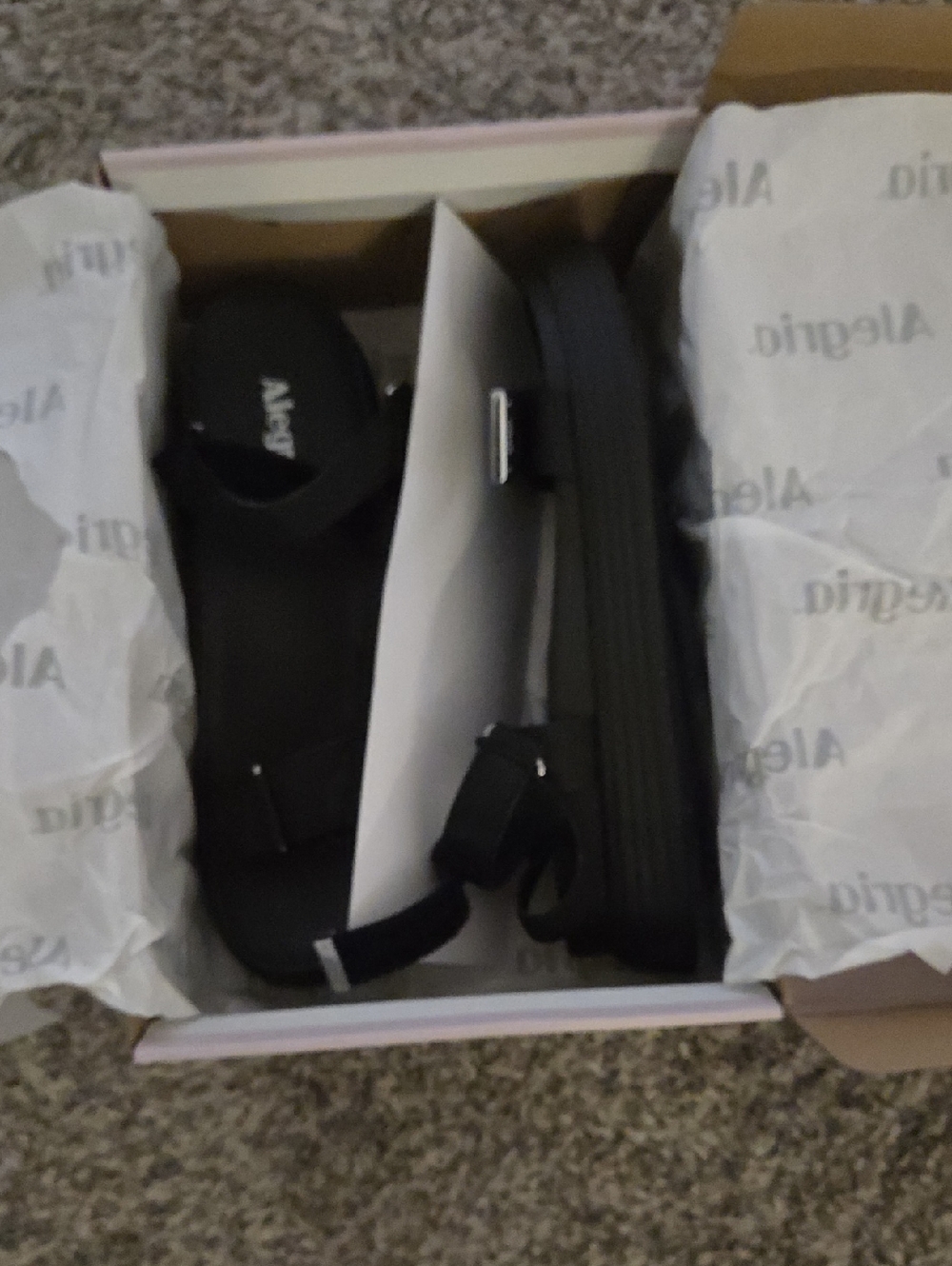 Alegria Branded Shoe Box with White Tissue Wrap